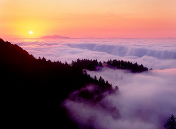 The Best Stargazing Spots Near San Francisco