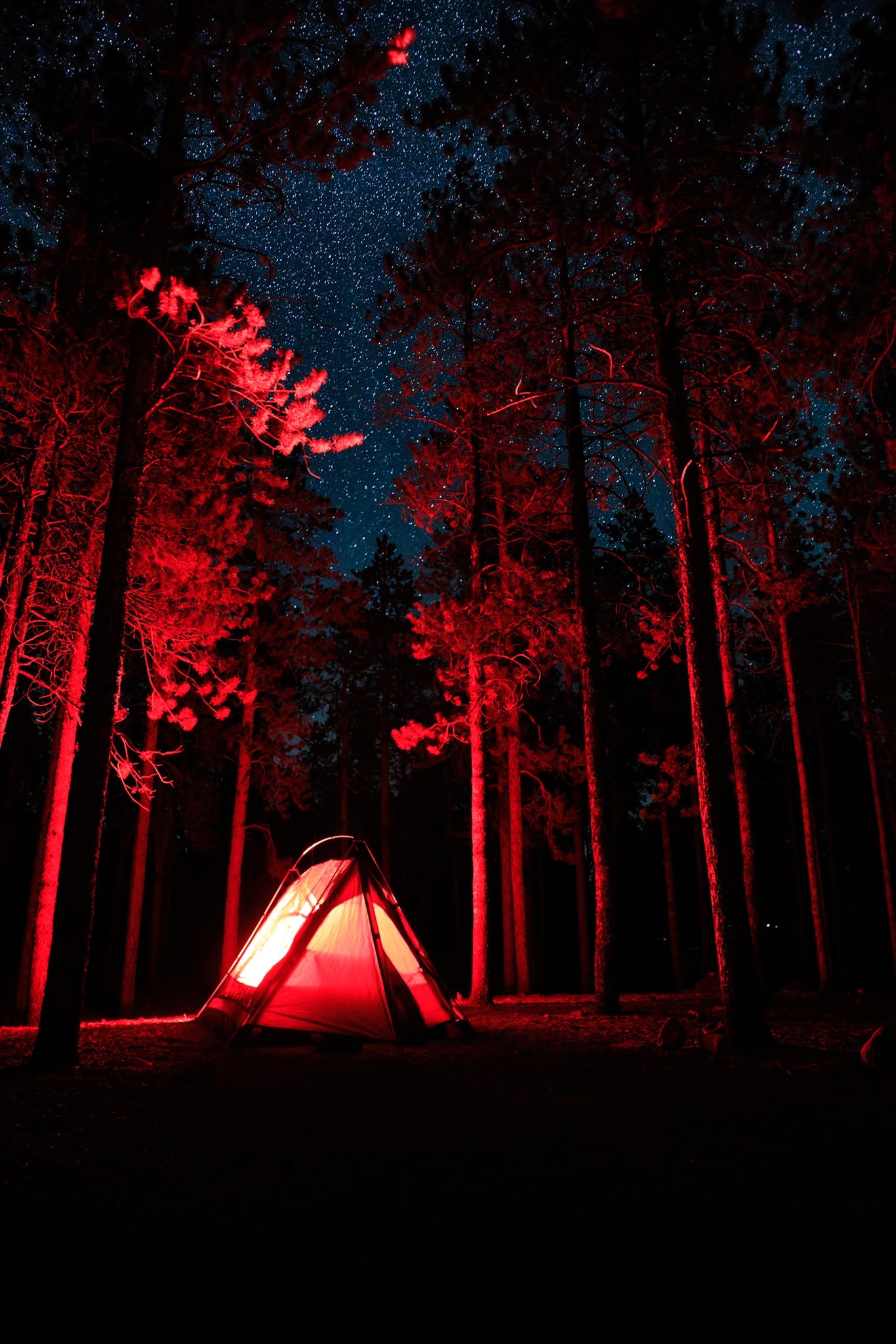 Sky View Duo Stargazing Tent